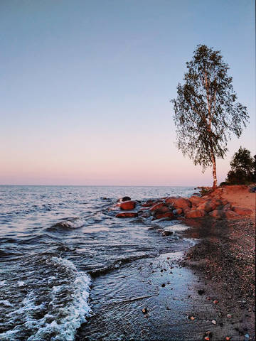 https://upforme.ru/uploads/001a/b7/49/213/t239175.jpg