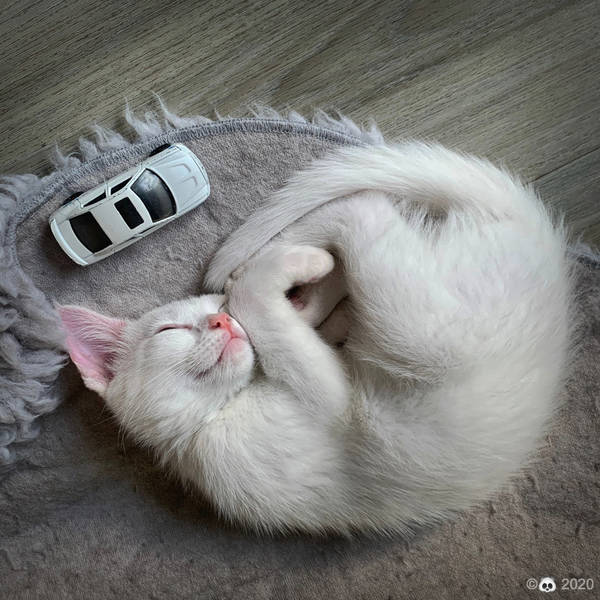 https://upforme.ru/uploads/001a/b7/49/213/t535685.jpg