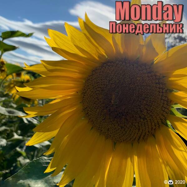 https://upforme.ru/uploads/001a/b7/49/213/t565653.jpg