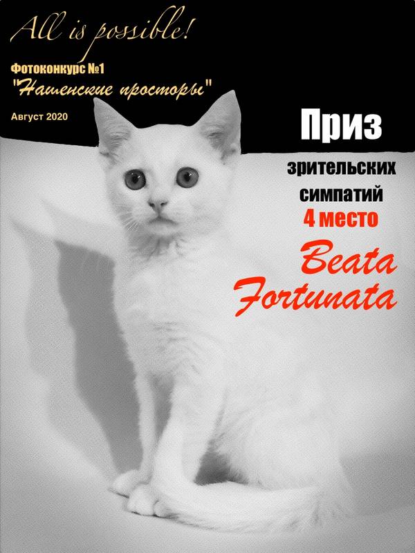https://upforme.ru/uploads/001a/b7/49/213/t613332.jpg