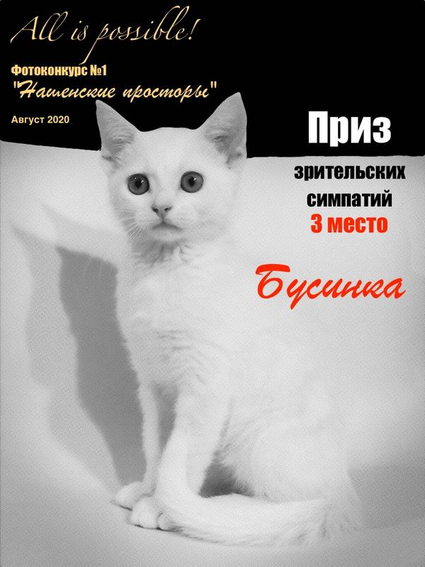 https://upforme.ru/uploads/001a/b7/49/213/t694760.jpg