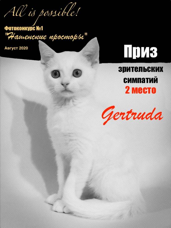 https://upforme.ru/uploads/001a/b7/49/213/t701125.jpg