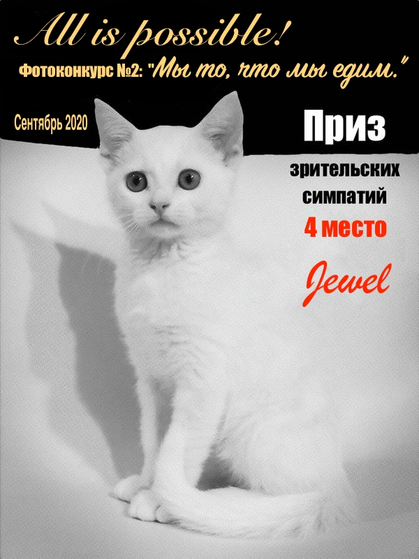 https://upforme.ru/uploads/001a/b7/49/213/t797950.jpg