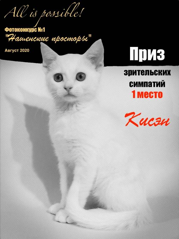 https://upforme.ru/uploads/001a/b7/49/213/t826571.jpg