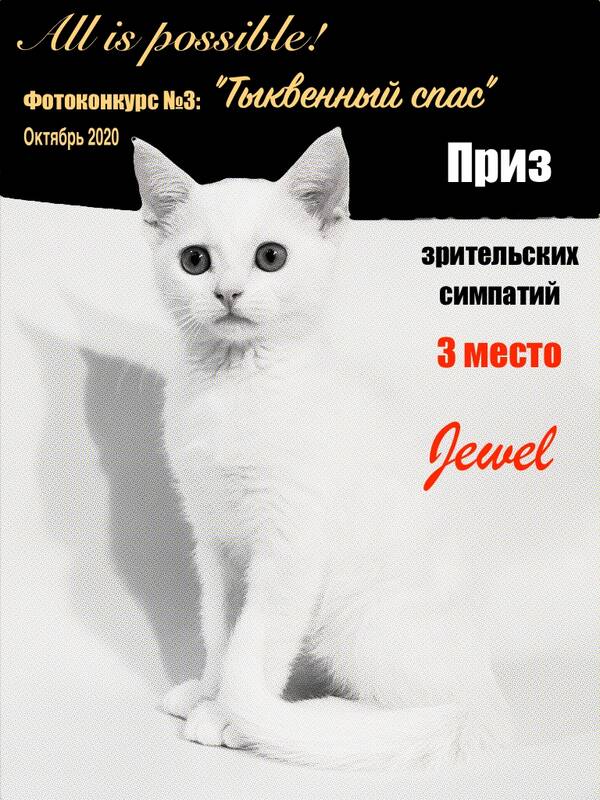 https://upforme.ru/uploads/001a/b7/49/213/t903241.jpg