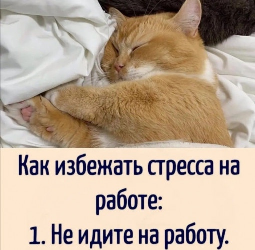 https://upforme.ru/uploads/001a/b7/49/22/638003.jpg
