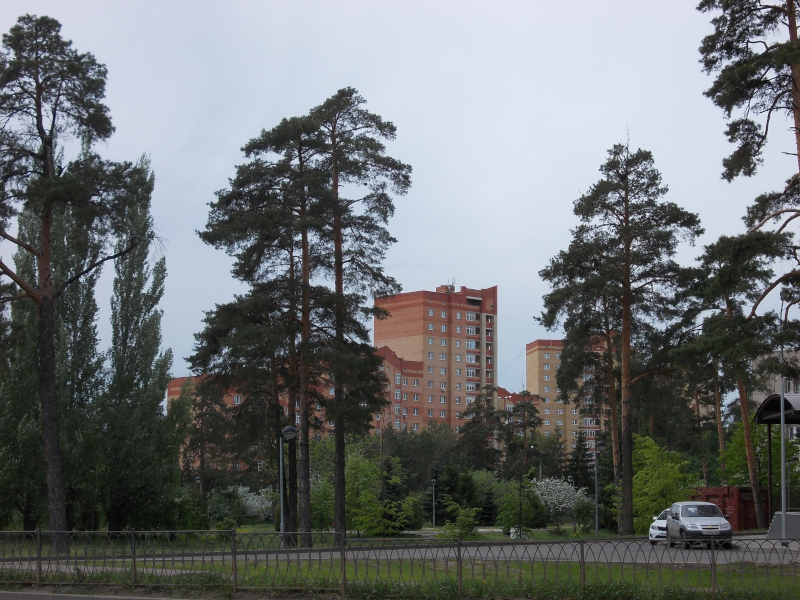 https://upforme.ru/uploads/001a/b7/49/226/587254.jpg