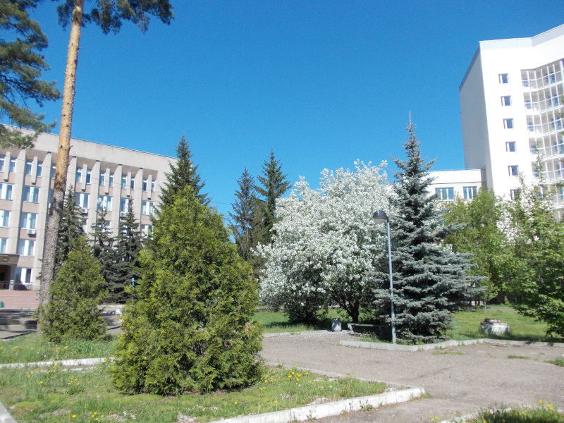 https://upforme.ru/uploads/001a/b7/49/226/75637.jpg