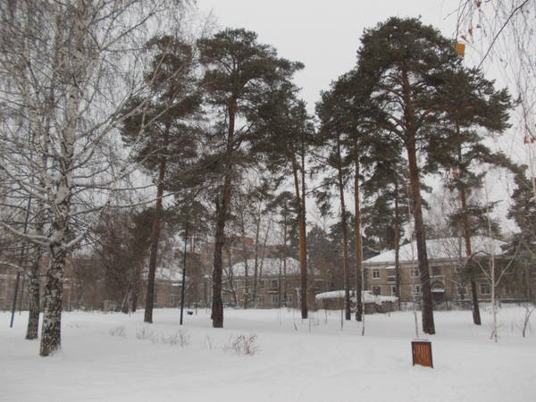 https://upforme.ru/uploads/001a/b7/49/226/t183596.jpg