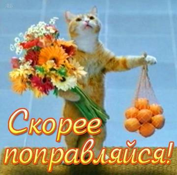 https://upforme.ru/uploads/001a/b7/49/242/t412565.jpg