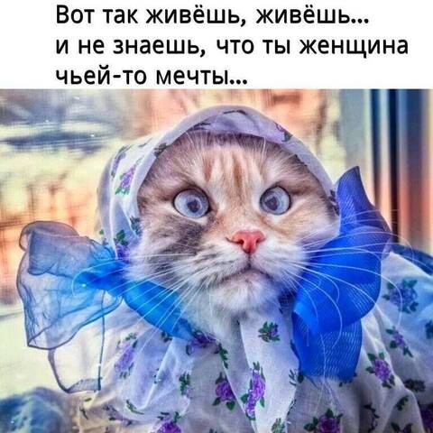 https://upforme.ru/uploads/001a/b7/49/25/t413253.jpg