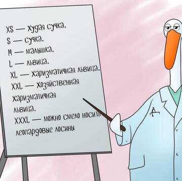 https://upforme.ru/uploads/001a/b7/49/250/t117851.jpg