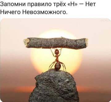 https://upforme.ru/uploads/001a/b7/49/250/t161341.jpg