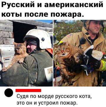 https://upforme.ru/uploads/001a/b7/49/250/t179767.jpg