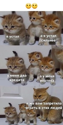 https://upforme.ru/uploads/001a/b7/49/250/t192060.webp
