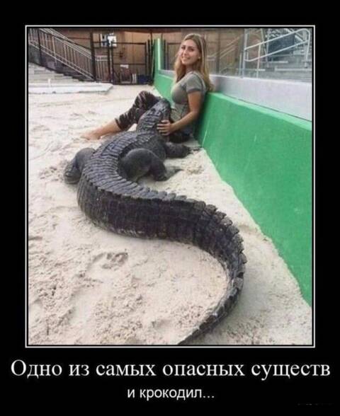https://upforme.ru/uploads/001a/b7/49/250/t204179.jpg