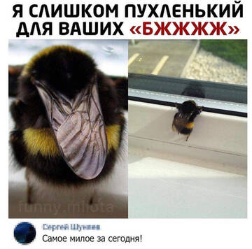 https://upforme.ru/uploads/001a/b7/49/250/t210944.jpg