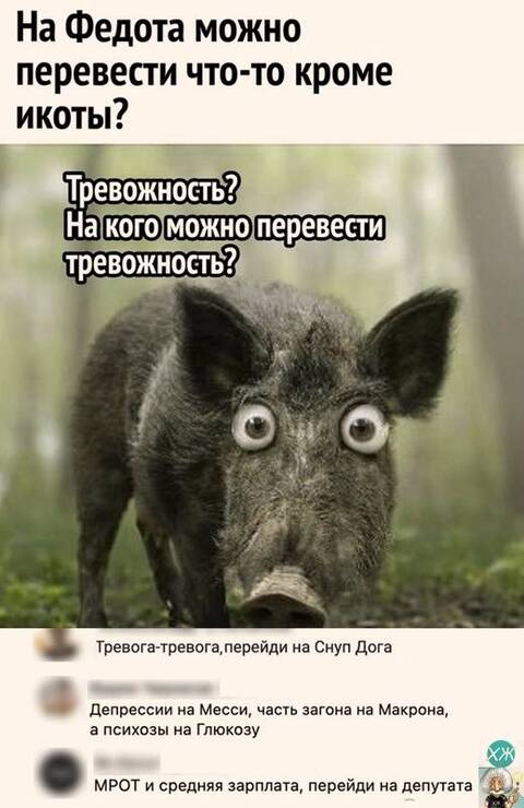 https://upforme.ru/uploads/001a/b7/49/250/t215421.jpg