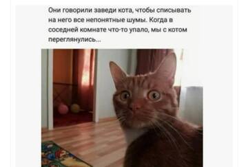 https://upforme.ru/uploads/001a/b7/49/250/t241329.jpg