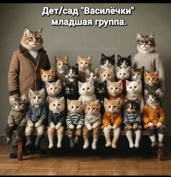 https://upforme.ru/uploads/001a/b7/49/250/t250422.jpg