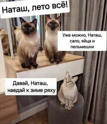 https://upforme.ru/uploads/001a/b7/49/250/t276089.jpg