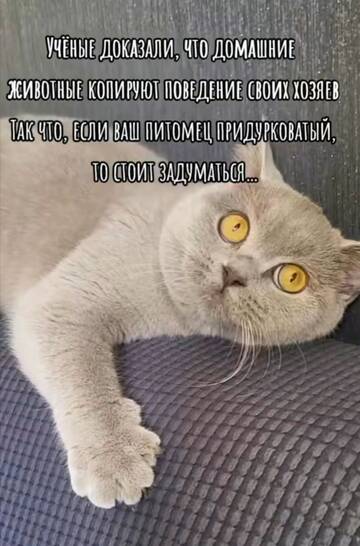 https://upforme.ru/uploads/001a/b7/49/250/t281205.jpg