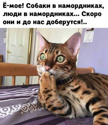 https://upforme.ru/uploads/001a/b7/49/250/t323934.jpg