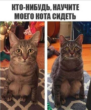 https://upforme.ru/uploads/001a/b7/49/250/t347135.jpg