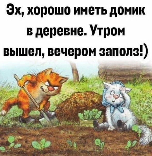 https://upforme.ru/uploads/001a/b7/49/250/t37268.jpg