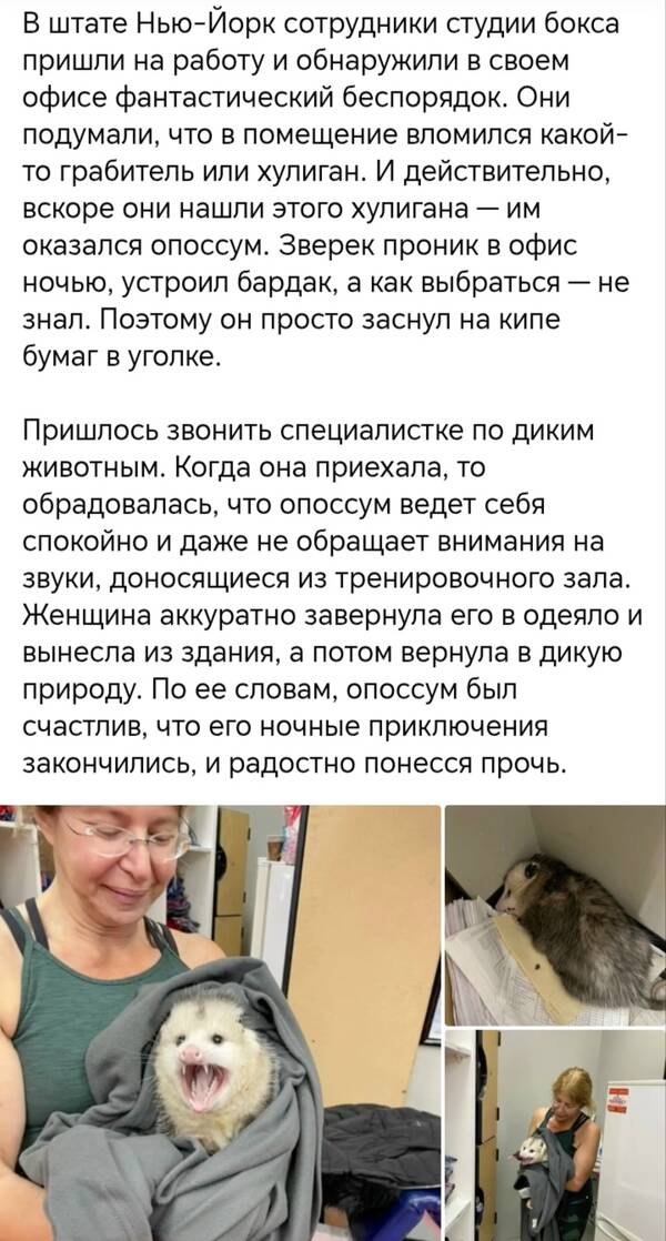 https://upforme.ru/uploads/001a/b7/49/250/t397596.jpg
