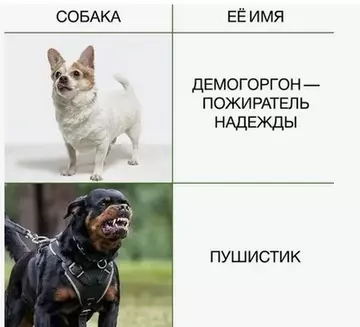 https://upforme.ru/uploads/001a/b7/49/250/t407281.webp