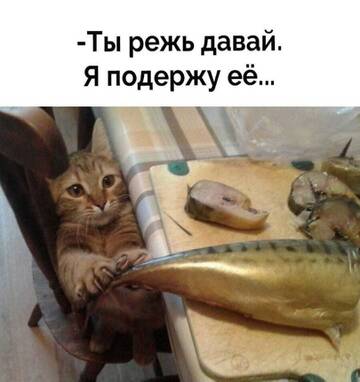 https://upforme.ru/uploads/001a/b7/49/250/t442582.jpg