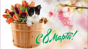 https://upforme.ru/uploads/001a/b7/49/250/t455986.jpg