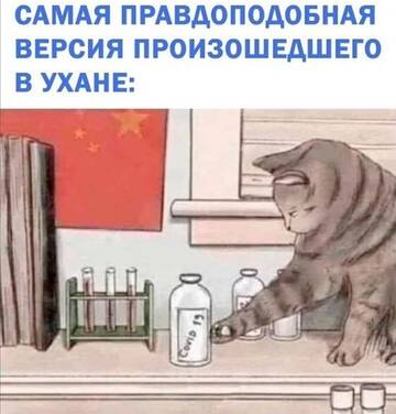 https://upforme.ru/uploads/001a/b7/49/250/t493241.jpg