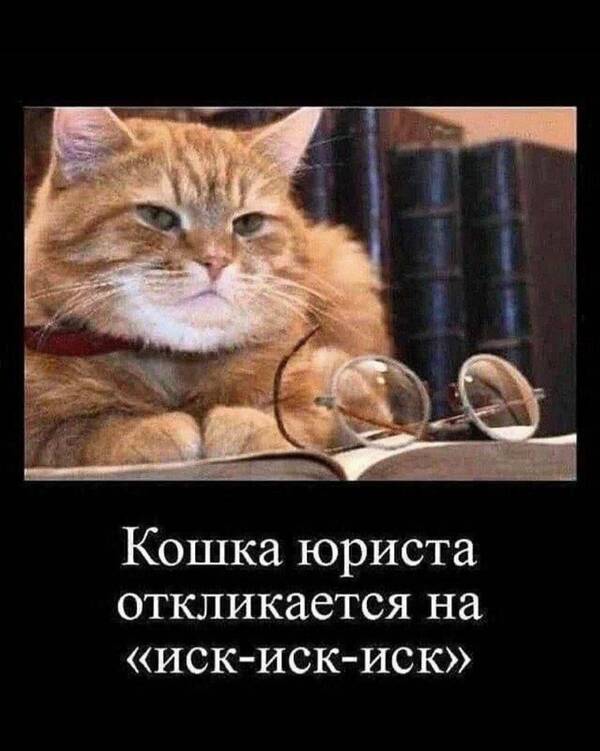 https://upforme.ru/uploads/001a/b7/49/250/t499607.jpg