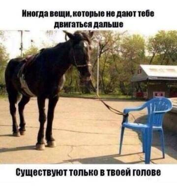https://upforme.ru/uploads/001a/b7/49/250/t504200.jpg
