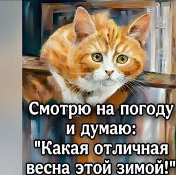 https://upforme.ru/uploads/001a/b7/49/250/t520869.jpg