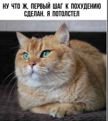 https://upforme.ru/uploads/001a/b7/49/250/t555588.jpg