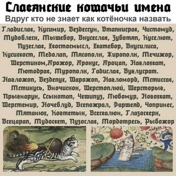 https://upforme.ru/uploads/001a/b7/49/250/t558873.jpg