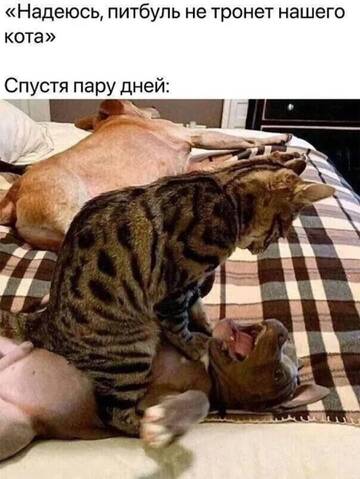 https://upforme.ru/uploads/001a/b7/49/250/t584432.jpg