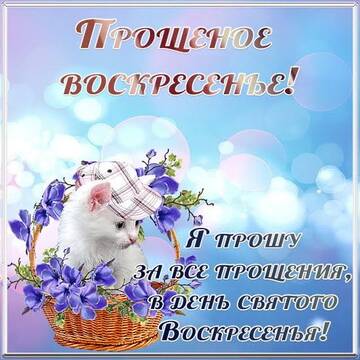 https://upforme.ru/uploads/001a/b7/49/250/t63025.jpg