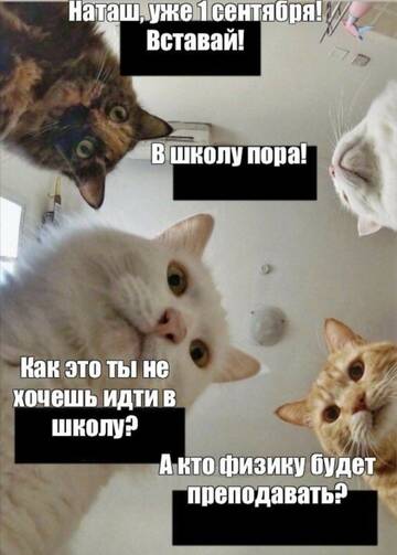 https://upforme.ru/uploads/001a/b7/49/250/t687684.jpg