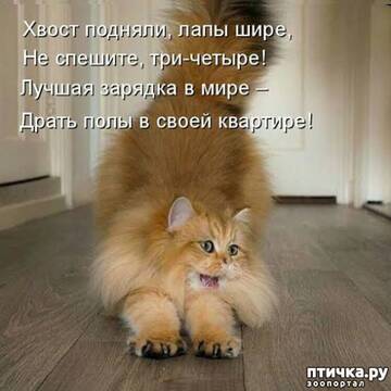 https://upforme.ru/uploads/001a/b7/49/250/t689381.jpg