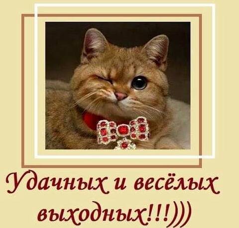 https://upforme.ru/uploads/001a/b7/49/250/t723091.jpg