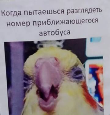 https://upforme.ru/uploads/001a/b7/49/250/t830259.jpg
