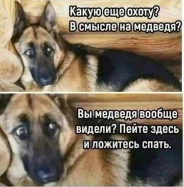 https://upforme.ru/uploads/001a/b7/49/250/t885940.jpg
