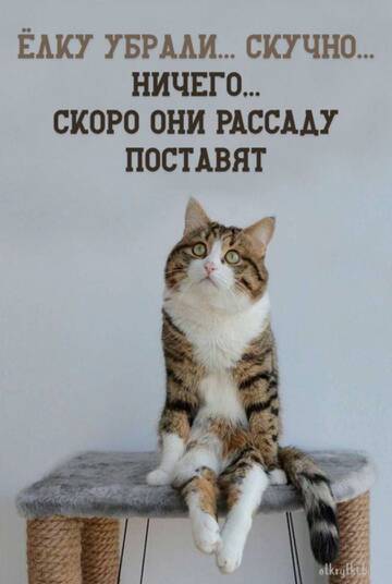https://upforme.ru/uploads/001a/b7/49/250/t893606.jpg