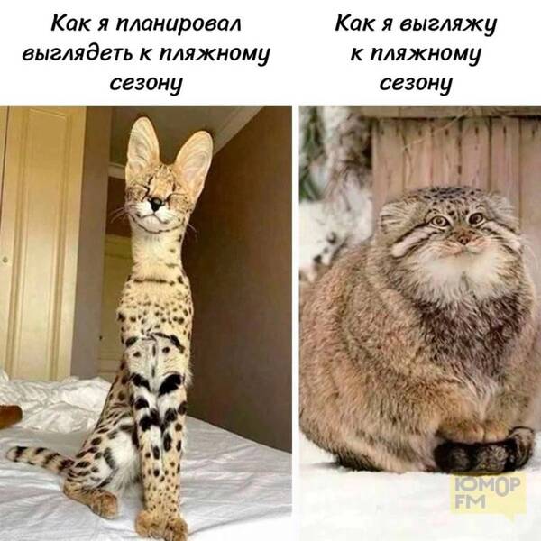 https://upforme.ru/uploads/001a/b7/49/250/t904219.jpg