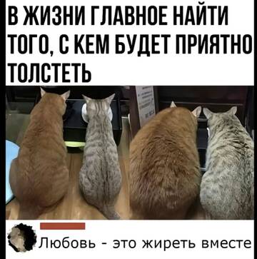 https://upforme.ru/uploads/001a/b7/49/250/t925789.jpg