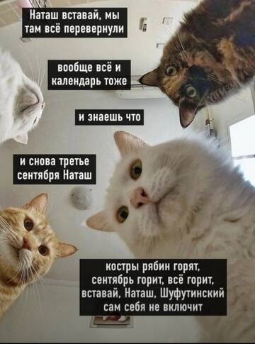https://upforme.ru/uploads/001a/b7/49/250/t938461.jpg